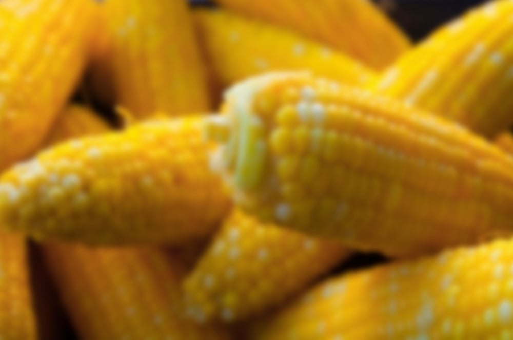 Corn Cobs